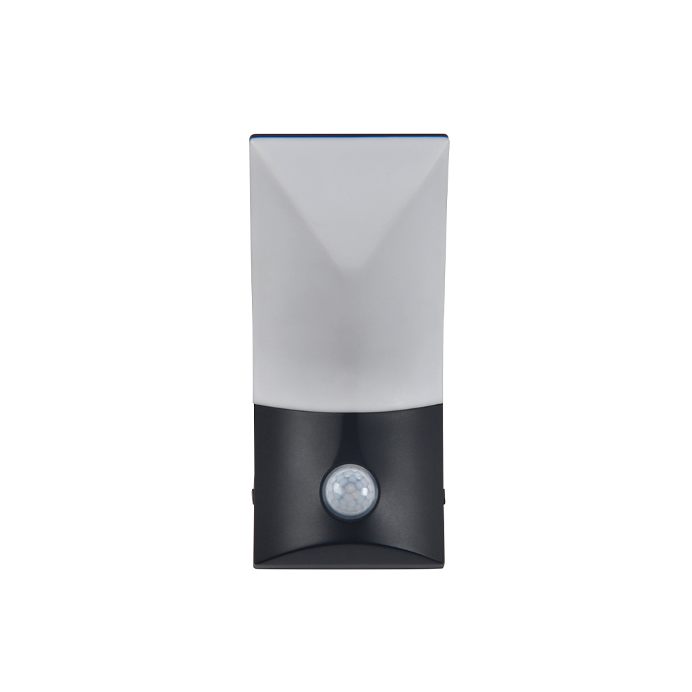 2380-PIR04 2380-PIR04